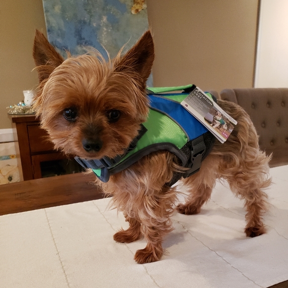 good 2 go Other - Dog Life Jacket XS